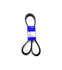 V-ribbed belt 3828041